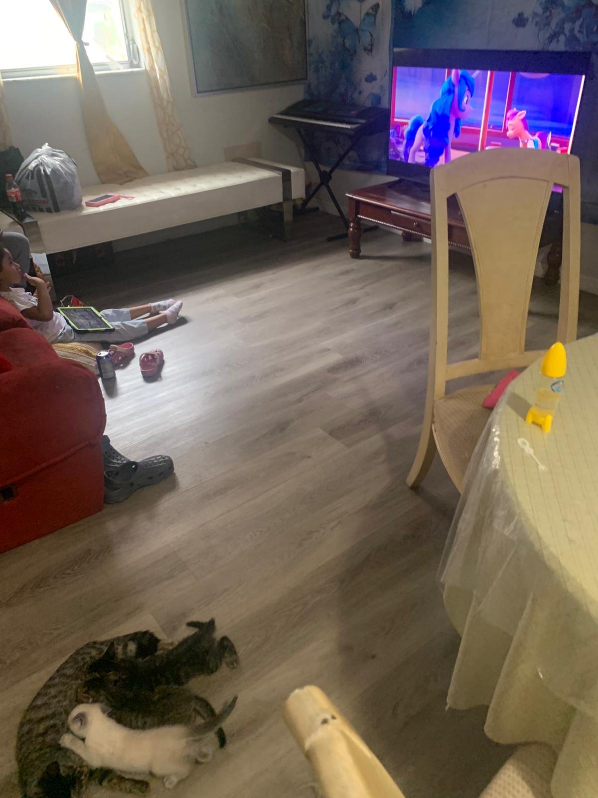 acd33739-9ee5-4511-a59f-5c1ee766c046 (1)