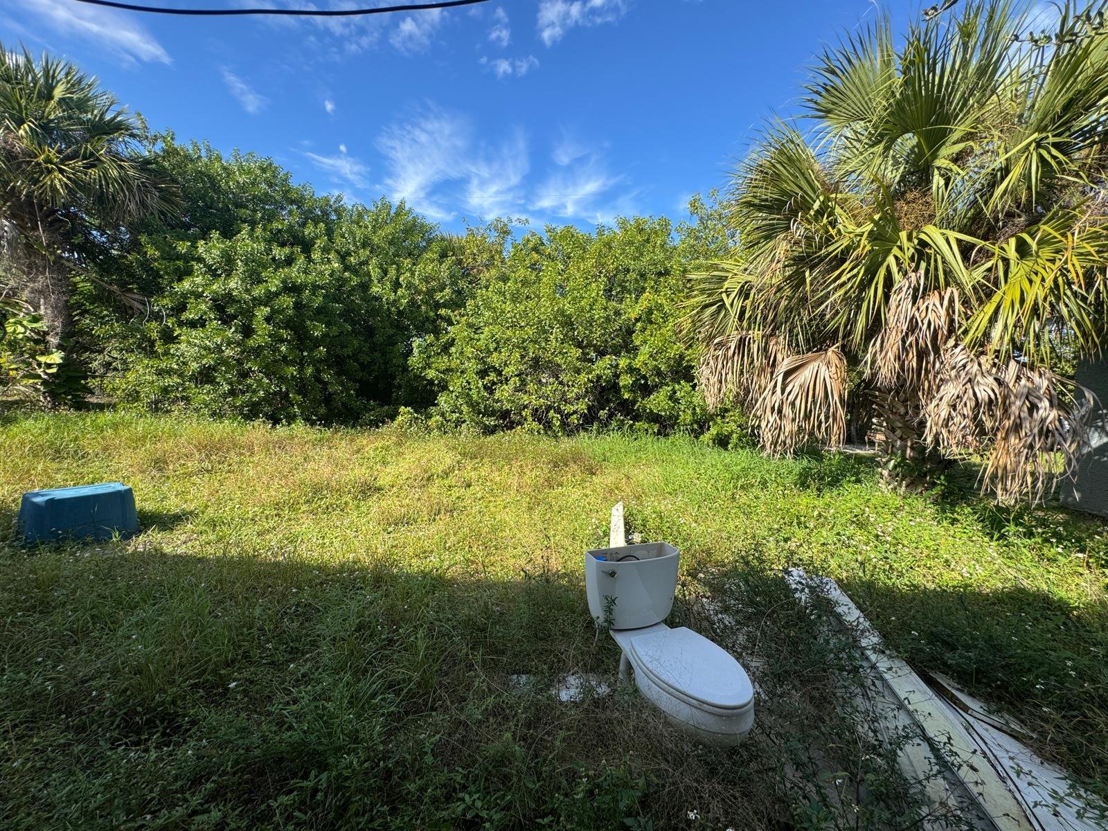 bac8f37c-5285-4b64-ae88-ec38a77825f5