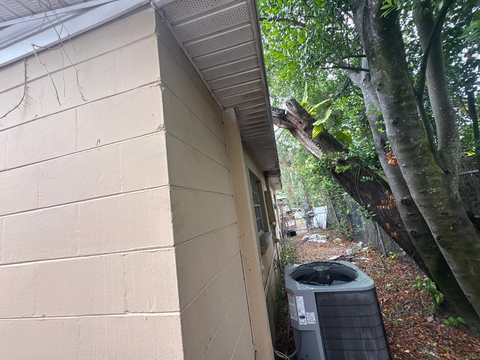 d027f59d-161b-4f3e-aa6e-97a861dc5a48