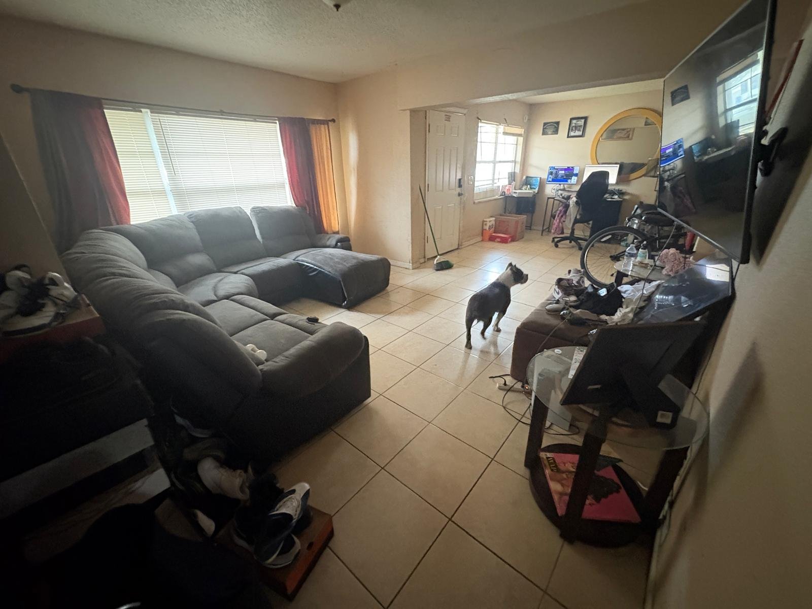 f30655e0-ca4c-4cc5-a637-016b842ec5eb