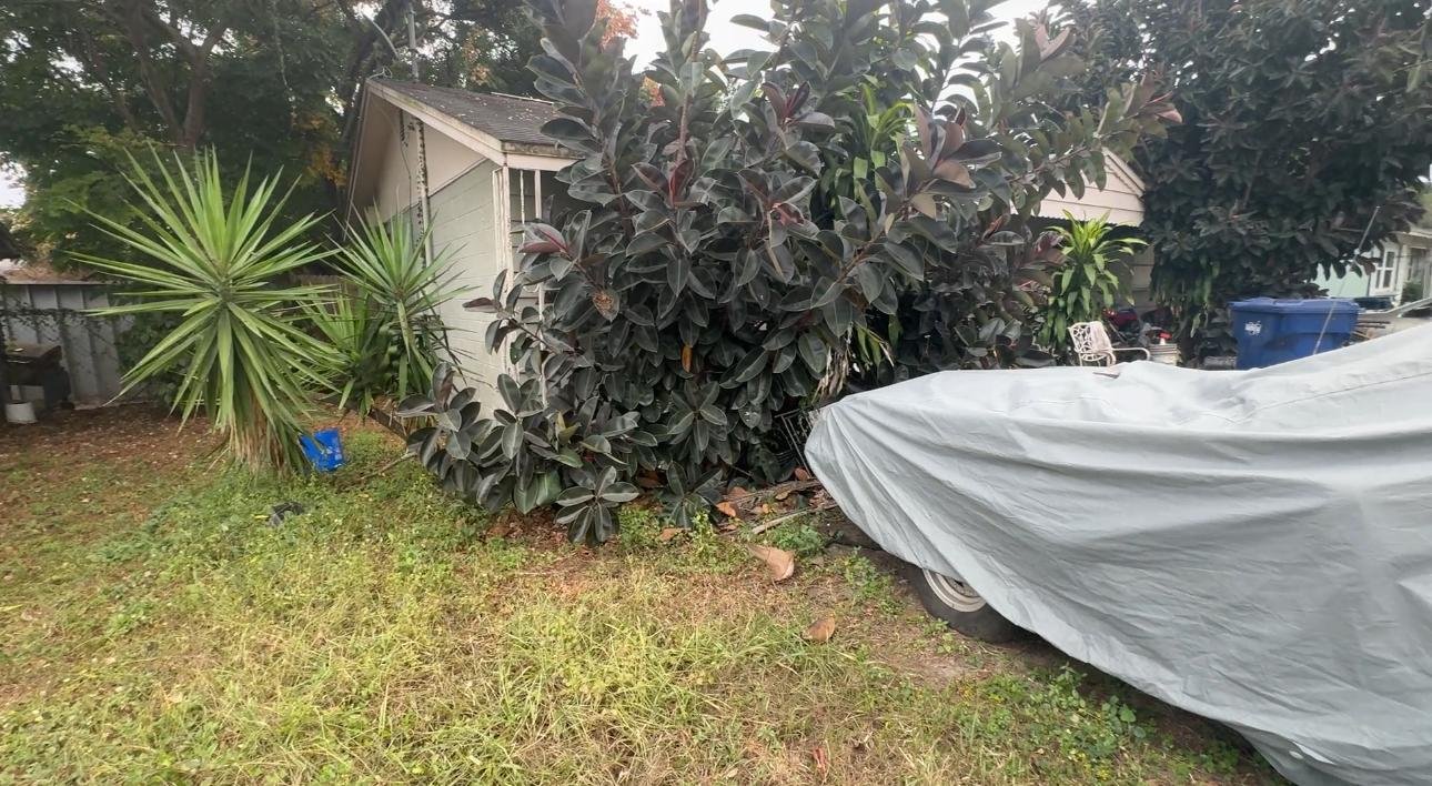 83f32381-924b-46a7-ba21-836d34df949a (1)