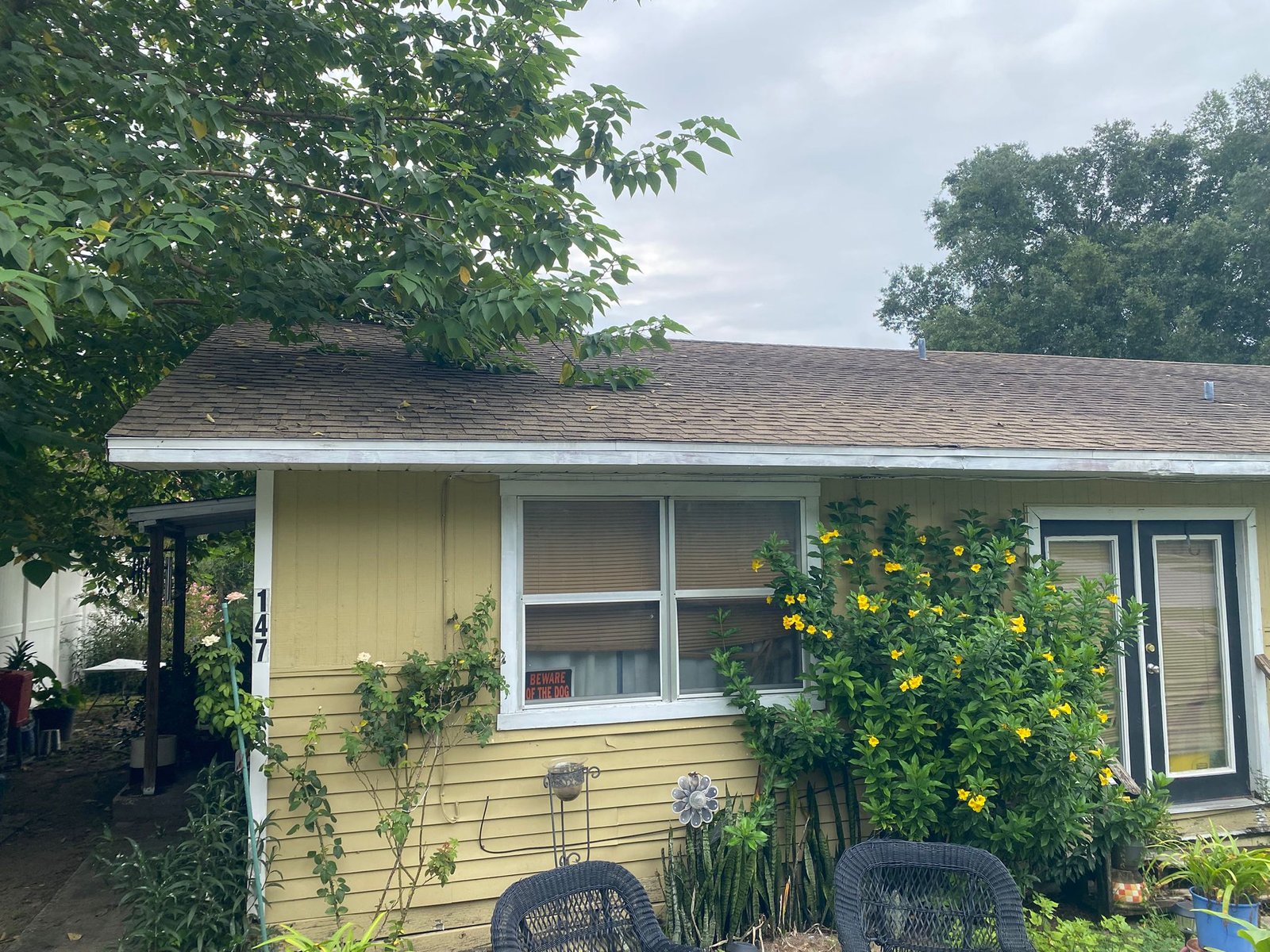 WhatsApp Image 2025-12-10 at 21.30.37 (1)