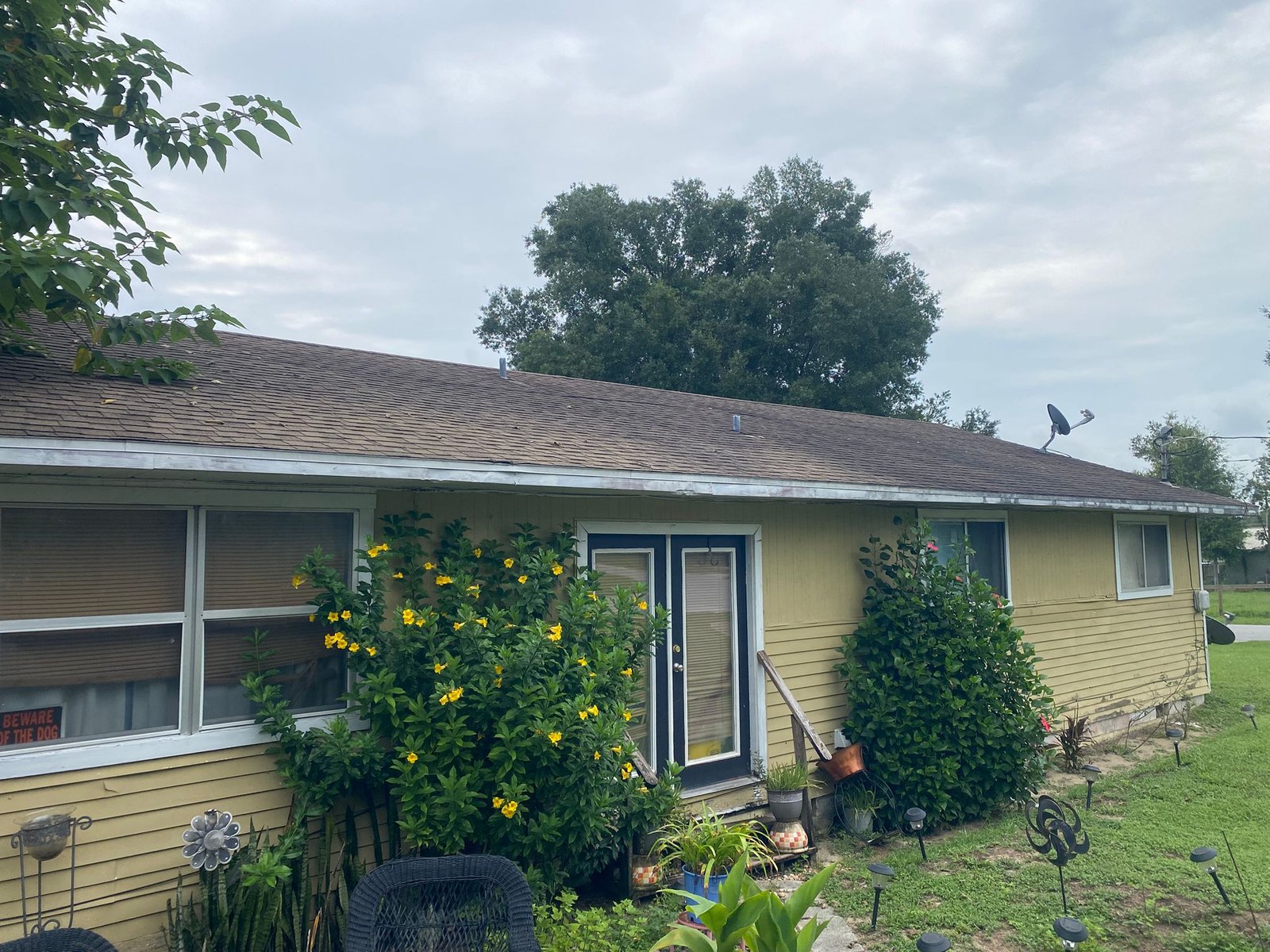 WhatsApp Image 2025-12-10 at 21.30.38