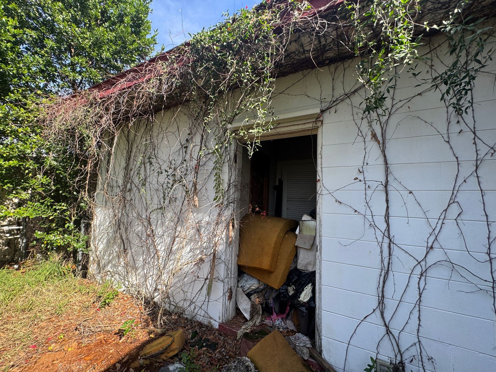 3ccb01fe-ec55-4659-91c0-cb64a7cda9e8