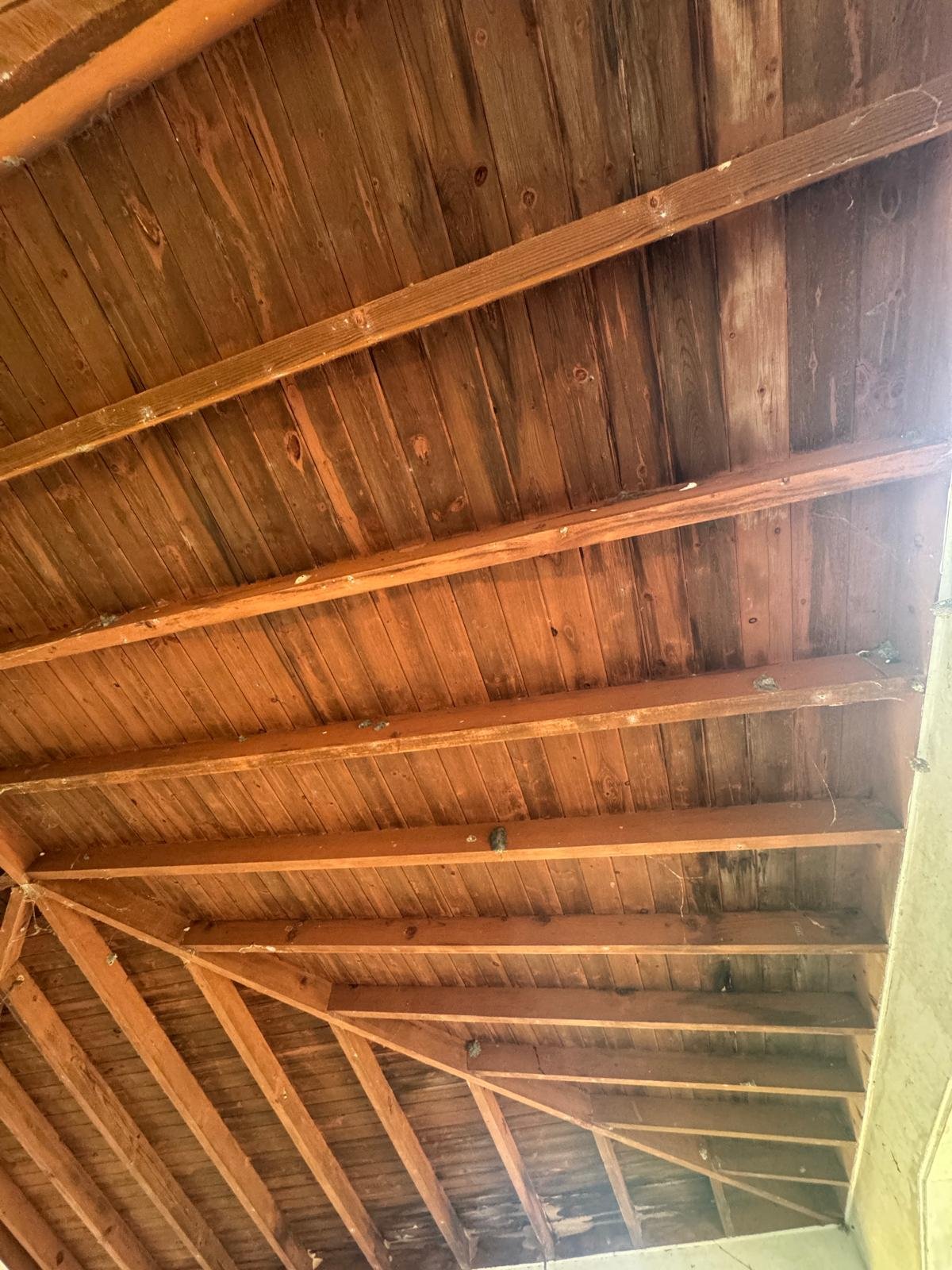 f56be389-4942-4d38-bf7c-12620d7db640