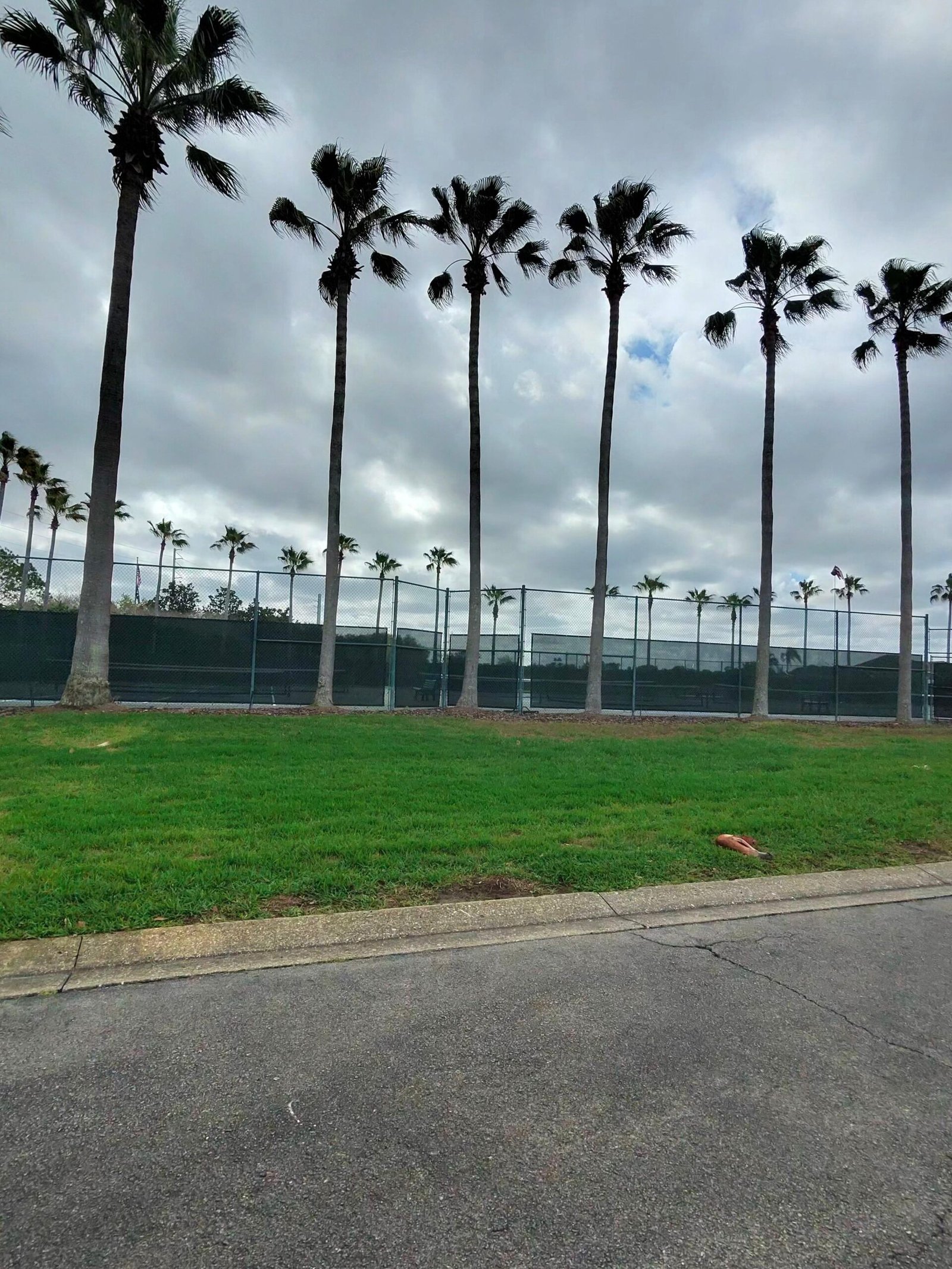 21b9051d-3a2a-46b2-986b-383d9488efc5