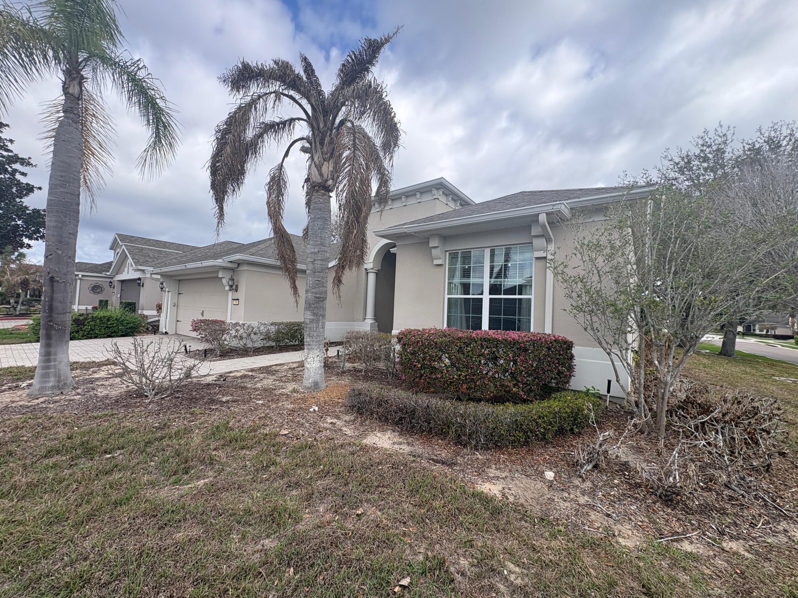 f08592ff-219e-4c61-a078-ab49be6b9b2f